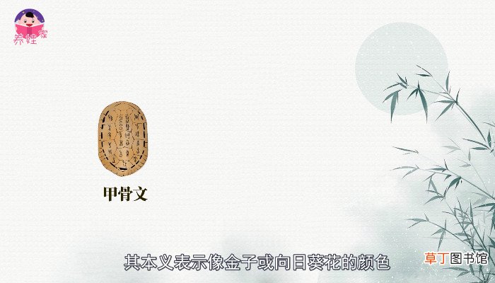 黄的部首是啥 黄的部首