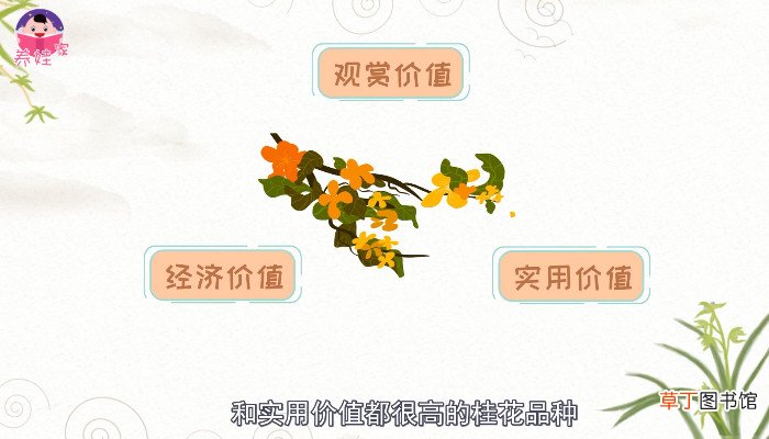 金桂飘香的意思 金桂飘香的意思呢