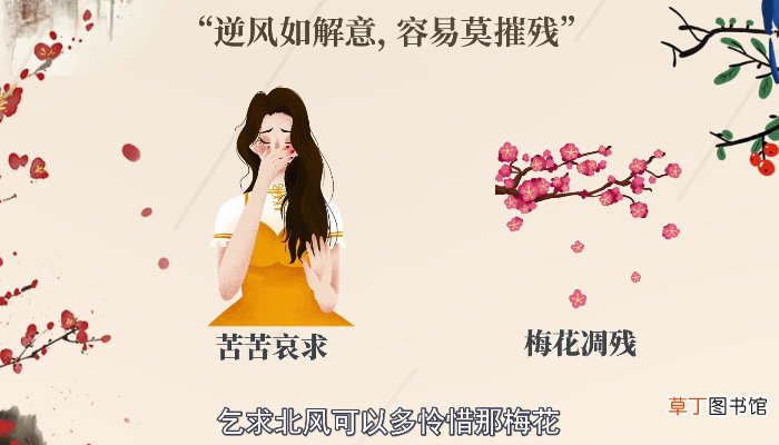 逆风如解意容易莫摧残什么意思 逆风如解意容易莫摧残的含义