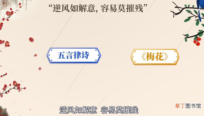 逆风如解意容易莫摧残什么意思 逆风如解意容易莫摧残的含义
