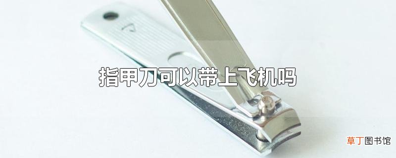 指甲刀可以带上飞机吗