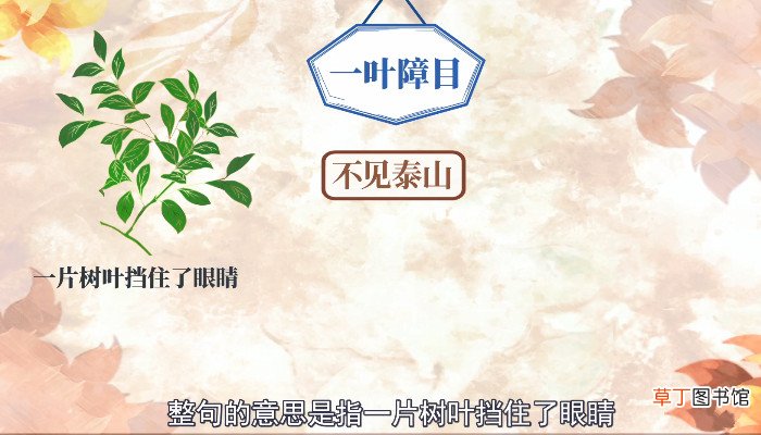 一叶障目的下一句是什么 一叶障目的下一句