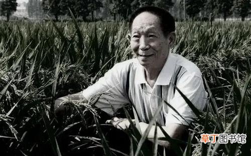 吊唁群众为袁老带来了气排球 外交部:袁隆平逝世是世界巨大损失