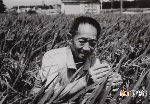 吊唁群众为袁老带来了气排球 外交部:袁隆平逝世是世界巨大损失