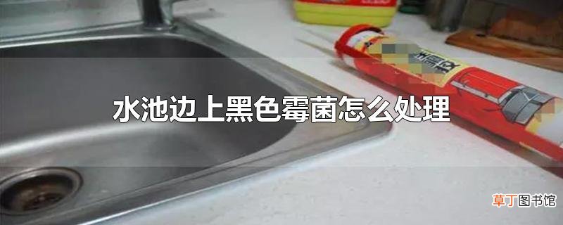 水池边上黑色霉菌怎么处理
