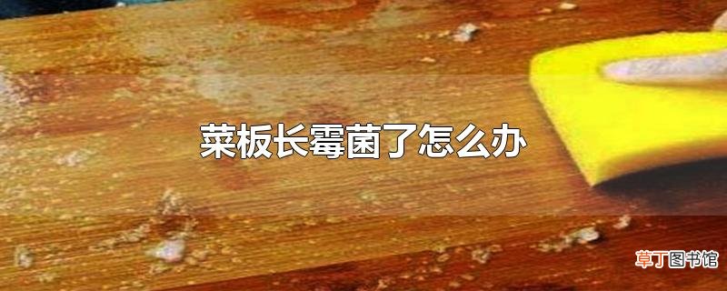 菜板长霉菌了怎么办