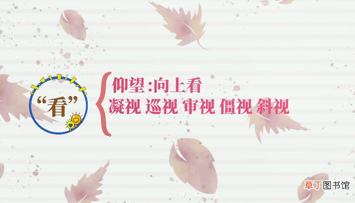 表示看的词语有什么写出几个表示看的词语