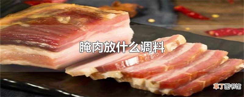 腌肉放什么调料