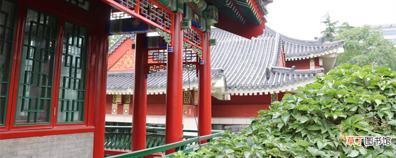 三宣牙牌令出自哪本书 三宣牙牌令出自哪里