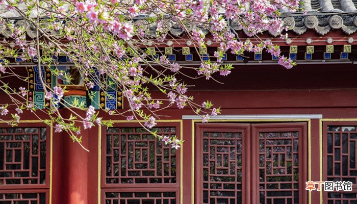 三宣牙牌令出自哪本书 三宣牙牌令出自哪里