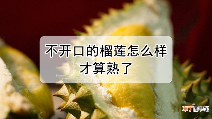 不开口的榴莲怎么样才算熟了