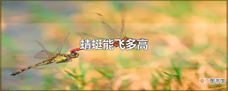 蜻蜓能飞多高