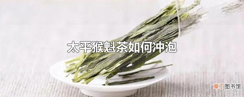 太平猴魁茶怎么冲泡