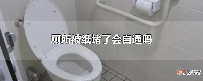 厕所被纸堵了会自通吗