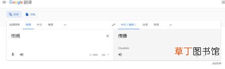 网友怒斥真恶心 谷歌翻译出现恶毒攻击中国词汇
