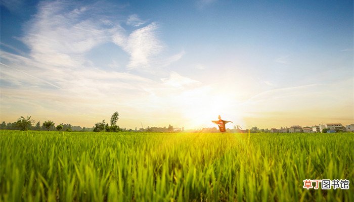 四时田园杂兴四时指的是什么 四时田园杂兴中四时指的是什么
