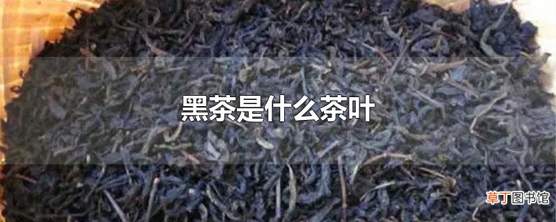 黑茶是什么茶叶