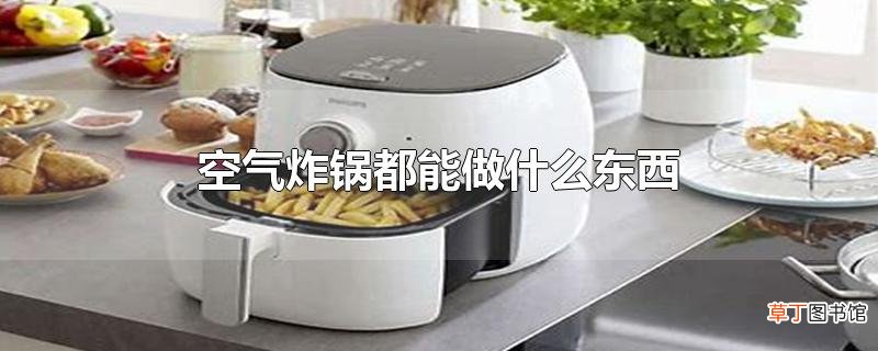 空气炸锅都能做什么东西