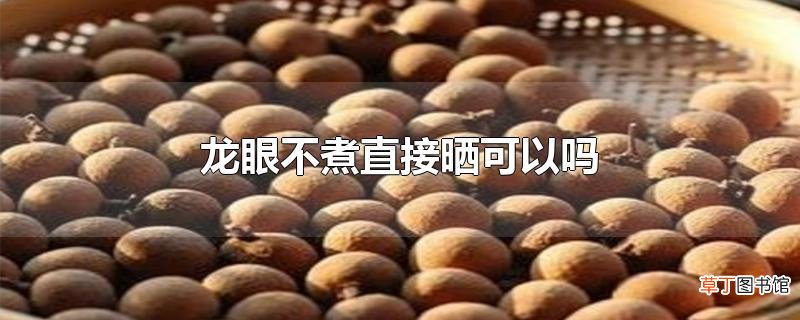 龙眼不煮直接晒可以吗