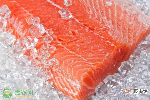 三文鱼和虹鳟鱼的区别