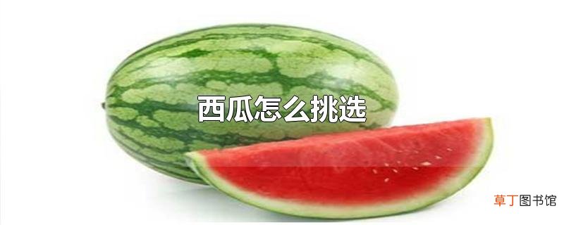 西瓜怎么挑选