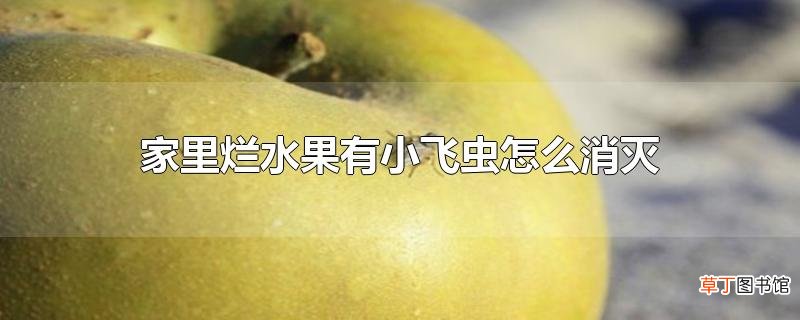 家里烂水果有小飞虫怎么消灭