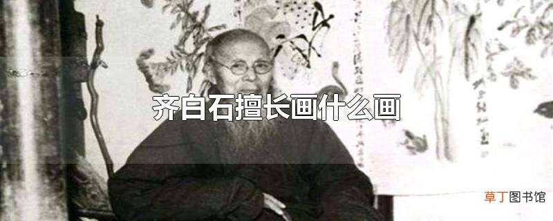 齐白石擅长画什么画