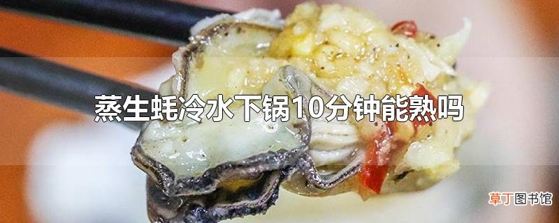 蒸生蚝冷水下锅10分钟能熟吗
