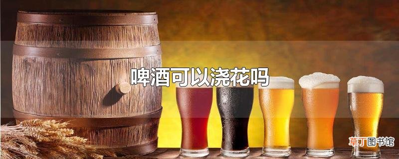 啤酒可以浇花吗