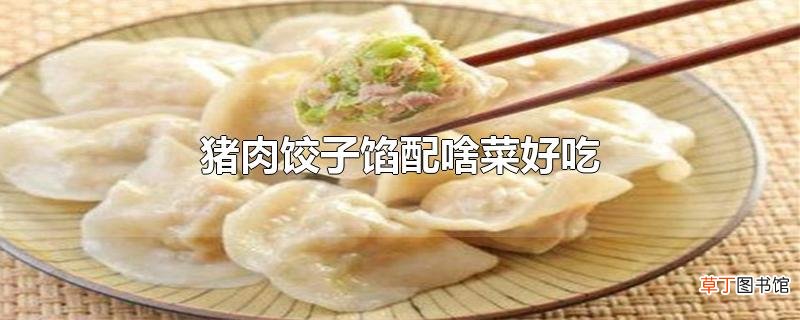 猪肉饺子馅配啥菜好吃