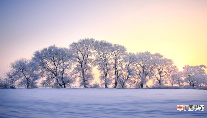 沁园春雪意象都具有哪些特点 沁园春雪意象特点是什么
