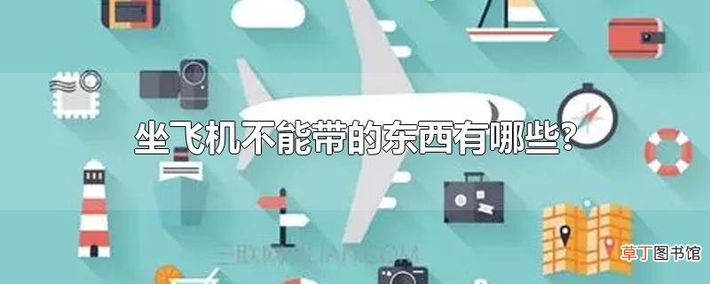 坐飞机不能带的东西有哪些?
