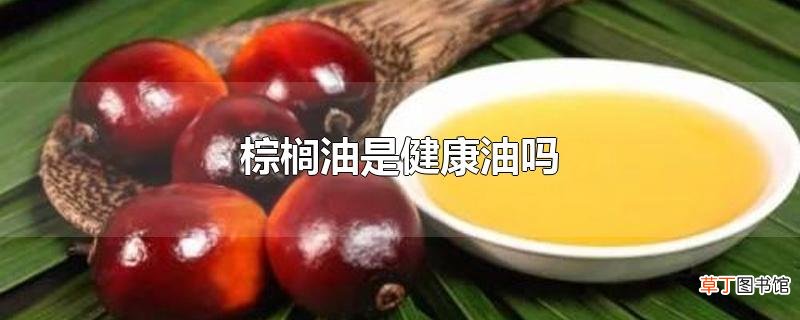 棕榈油是健康油吗