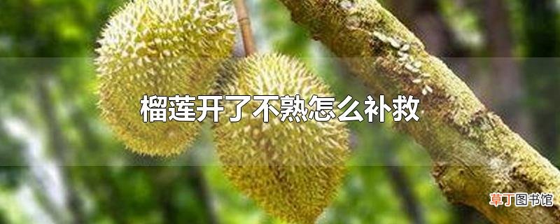 榴莲开了不熟怎么补救