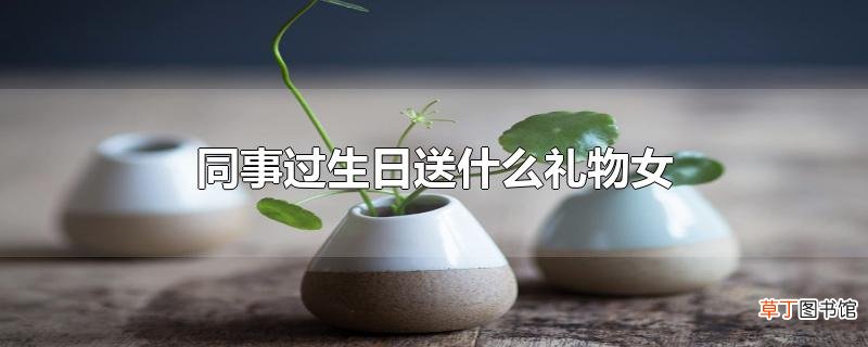 同事过生日送什么礼物女