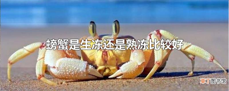 螃蟹是生冻还是熟冻比较好