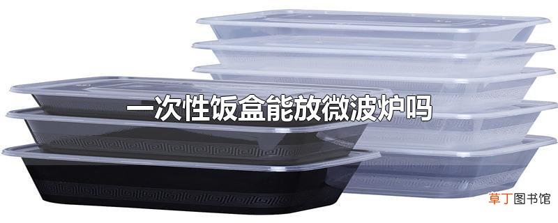 一次性饭盒能放微波炉吗