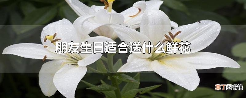 朋友生日适合送什么鲜花