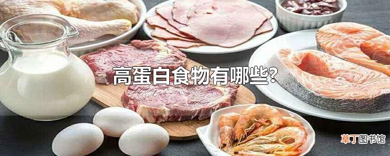 高蛋白食物有哪些?