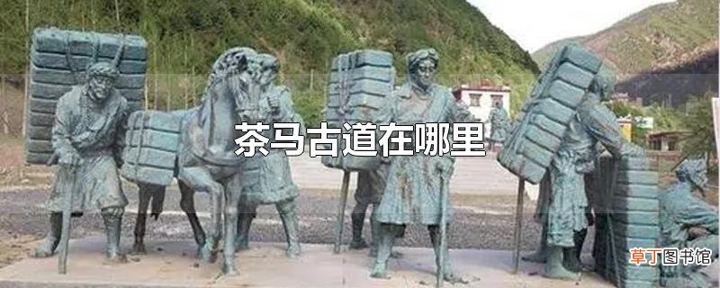 茶马古道在哪里