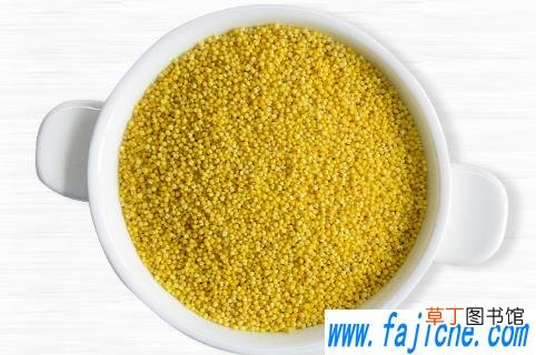 小米泡一晚上再煮有毒吗 小米粥煮15分钟能喝吗