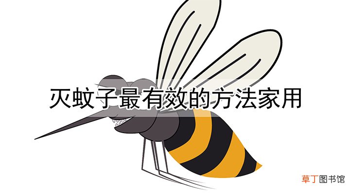 灭蚊子最有效的方法家用