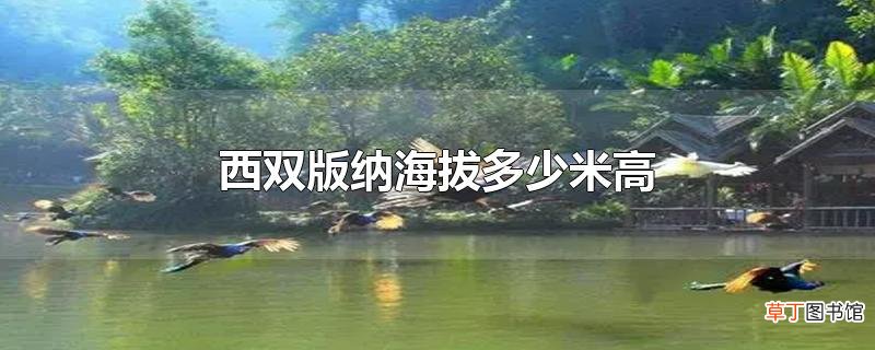 西双版纳海拔多少米高