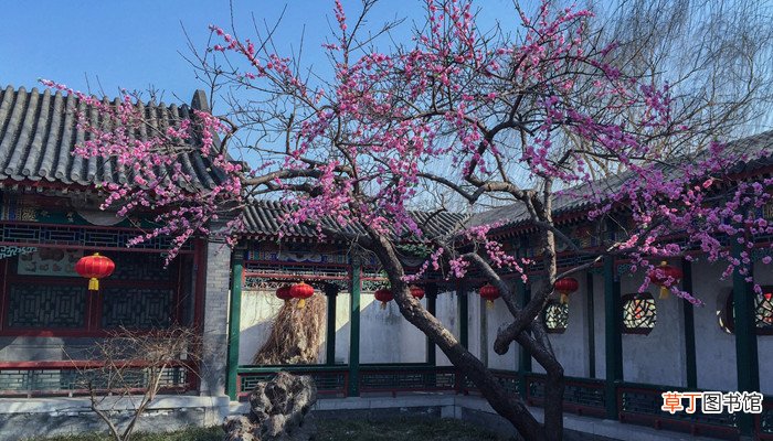 贾母的性格特点 贾母的性格特点是什么