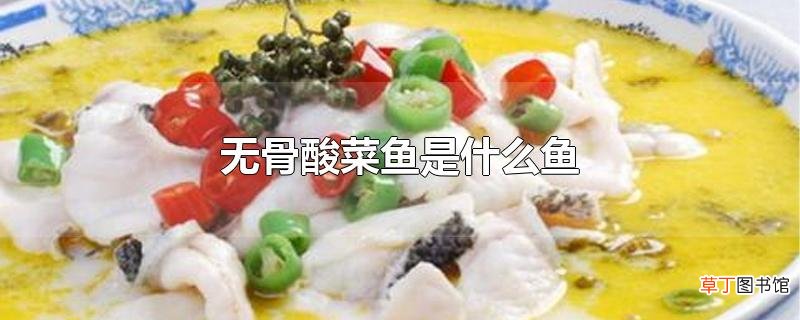 无骨酸菜鱼是什么鱼