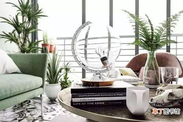 卧室最适合养这“3种”花，除菌去螨虫，入睡更健康！