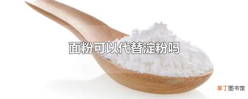 面粉可以代替淀粉吗