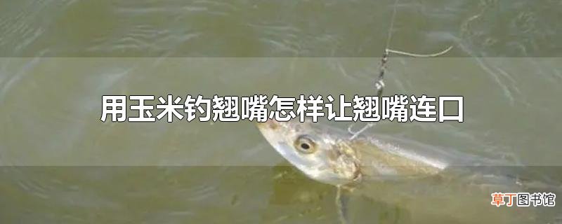 用玉米钓翘嘴怎样让翘嘴连口