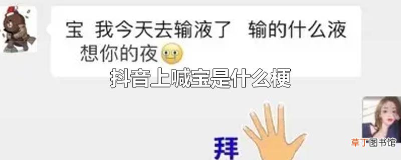 抖音上喊宝是什么梗