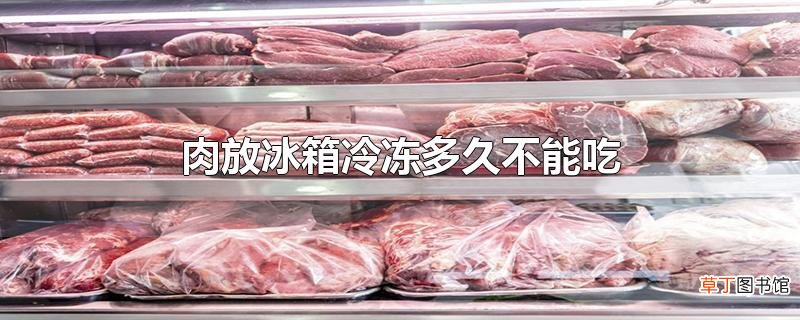 肉放冰箱冷冻多久不能吃
